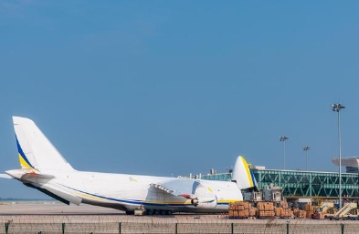 土耳其空運是連接歐亞的空中橋梁，在全球貿易中發揮著重要作用